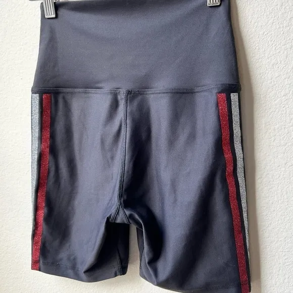 Beach Riot Glitter Size Stripe Bike Shorts Sz M