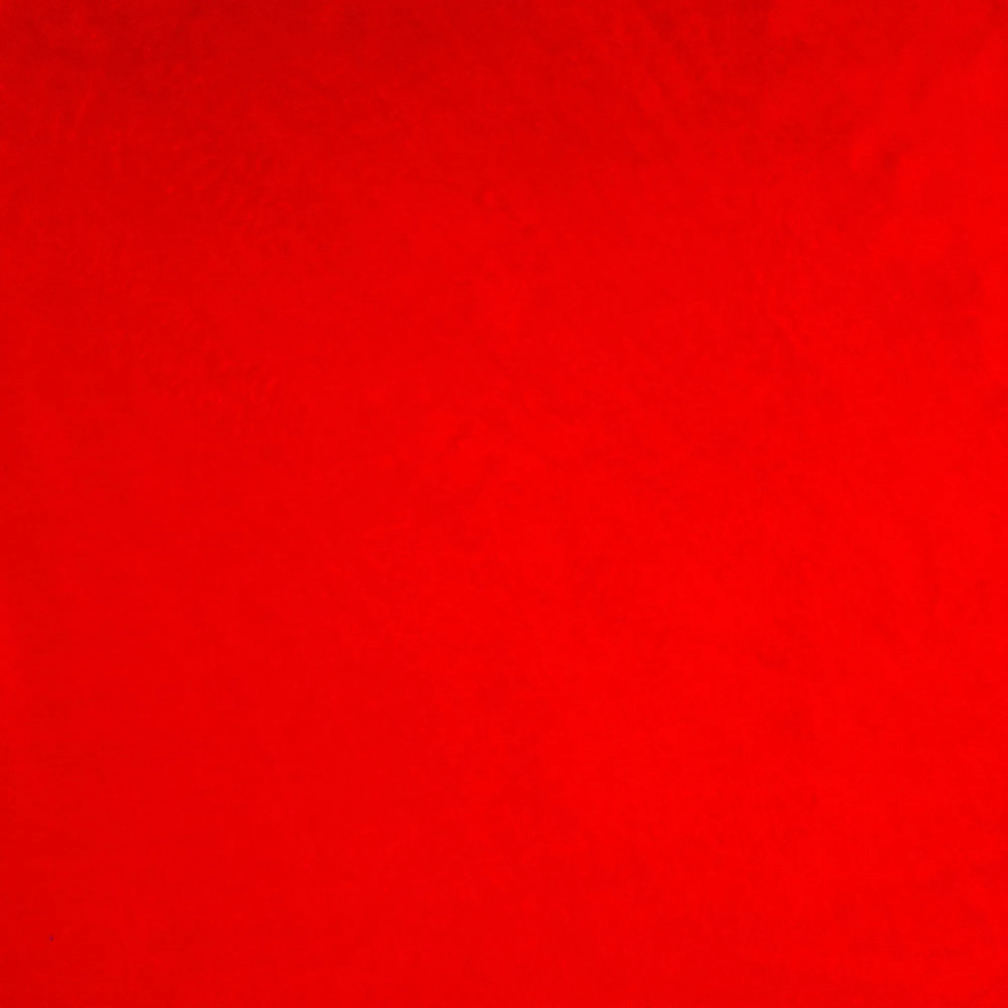 Coral Fleece Plain Red