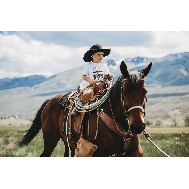 Cowhorse Toddler Graphic Tee [three colors]