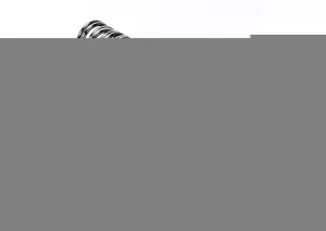 Ecolife Sunshine Stainless Steel Open Ended Pants Easy Slide Wardrobe Clothes Trouser Hanger (Set of 20)