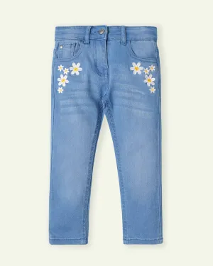 Embroidered Daisy Skinny Jeans
