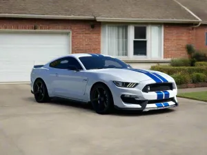 Ford Shelby GT350 2015 - 2025 Outdoor Indoor Select-Fit Car Cover