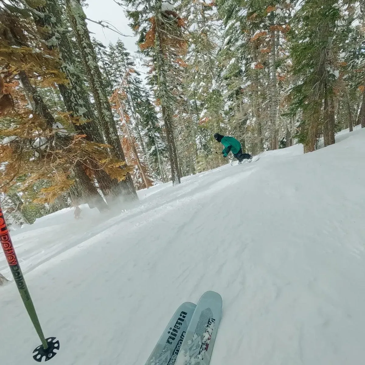 GoPro Chest Mount Harness
