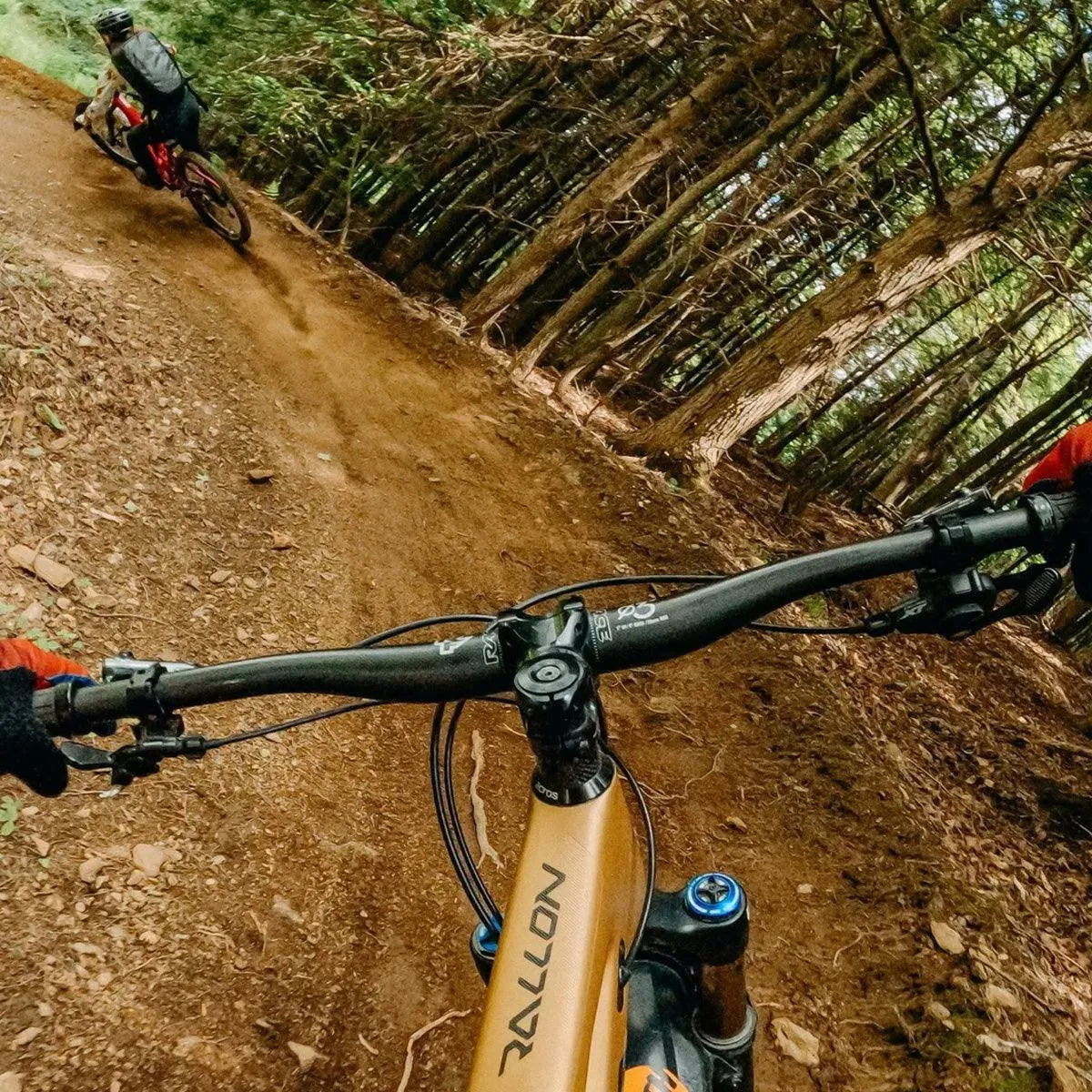 GoPro Chest Mount Harness