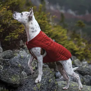 Kurgo Loft Jacket
