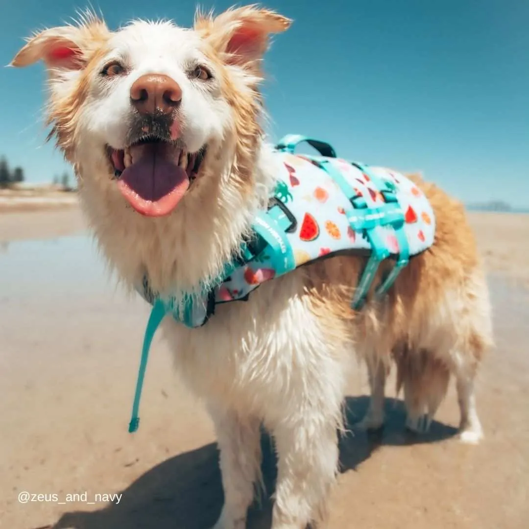 Malibu Dog Swim Jacket