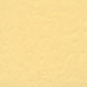 Solvent Free Wall Paint - Medium Tints