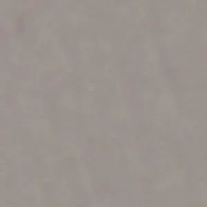 Solvent Free Wall Paint - Medium Tints