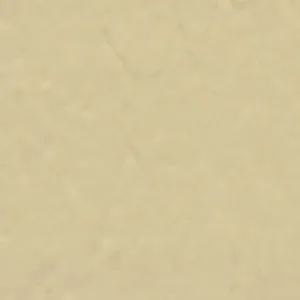 Solvent Free Wall Paint - Medium Tints