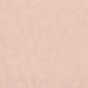 Solvent Free Wall Paint - Medium Tints