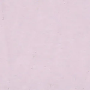 Solvent Free Wall Paint - Medium Tints