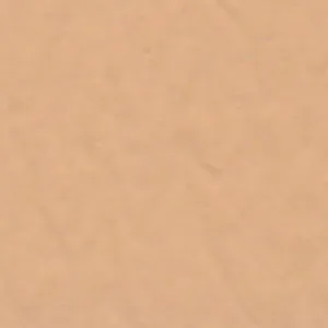 Solvent Free Wall Paint - Medium Tints