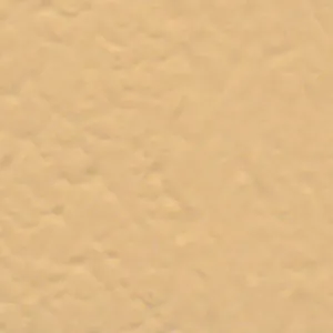 Solvent Free Wall Paint - Medium Tints